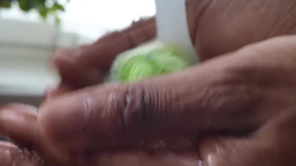 台所で野菜を作る人のマクロビデオ — ストック動画