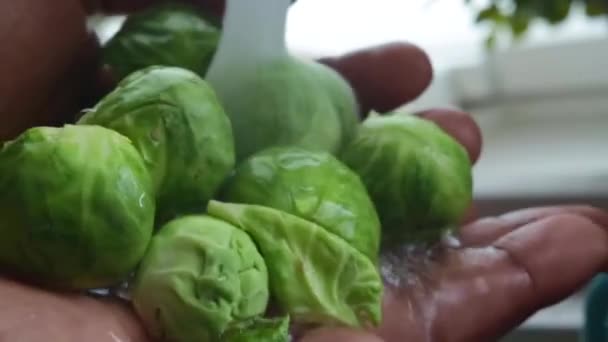 Makrovideo Einer Person Die Gemüse Der Küche Zubereitet — Stockvideo