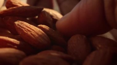 Yığından taze badem topluyorum