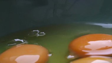 Kavanozdaki kırık yumurtaları kapat.