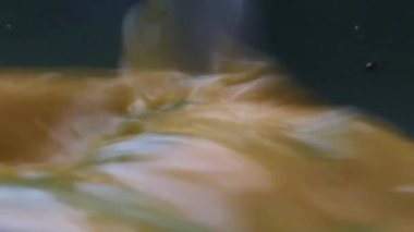 Makro manzaralı şef omlet için bir kasede yumurta hazırlıyor.