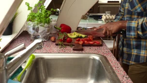 在家做健康饭菜的头面人物 — 图库视频影像