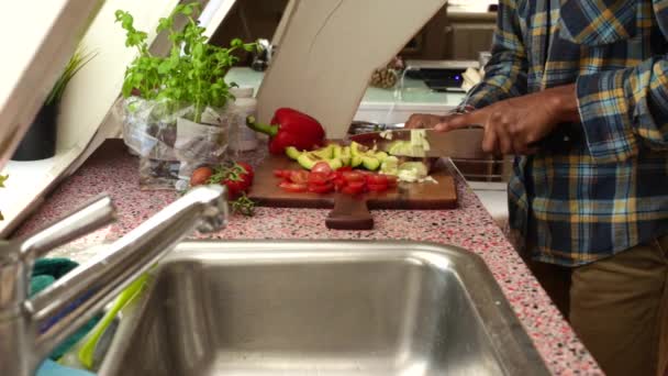 在家做健康饭菜的头面人物 — 图库视频影像