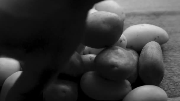 Elleri Organik Bebek Patateslerini Evdeki Mutfakta Tahta Kesme Tahtasında Hazırlıyor — Stok video