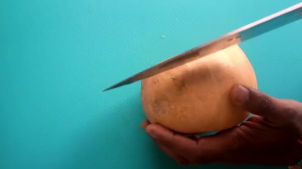 Platt Äggläggning Person Som Förbereder Ekologisk Pumpa Butternut Squash — Stockvideo