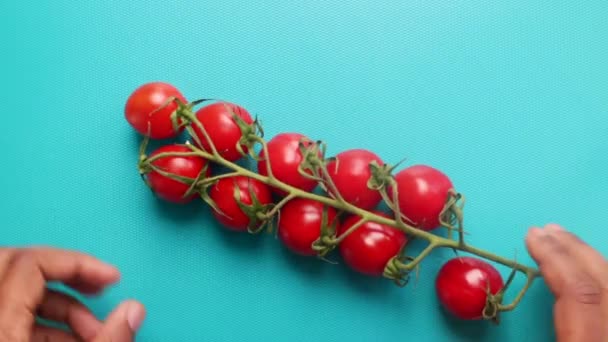 Mieszkaniec Świecki Przygotowujący Pomidory Wiśniowe Desce Siekania — Wideo stockowe