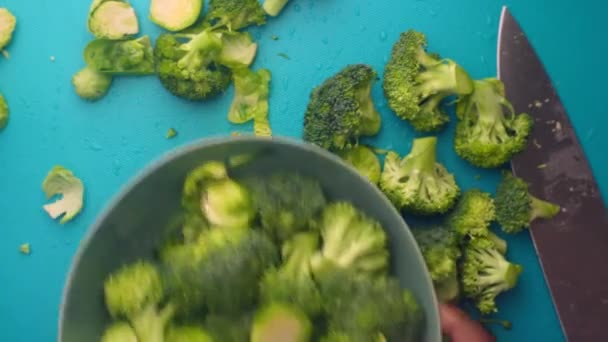 Grado Persona Preparando Bandeja Horno Con Verduras Orgánicas — Vídeo de stock