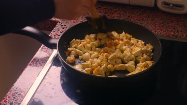 Mutfaktaki Elektrikli Ocakta Tavuk Kızartan Kişiye Yakın Çekim — Stok video