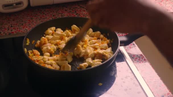 Menutup Orang Menggoreng Ayam Kompor Listrik Dapur — Stok Video
