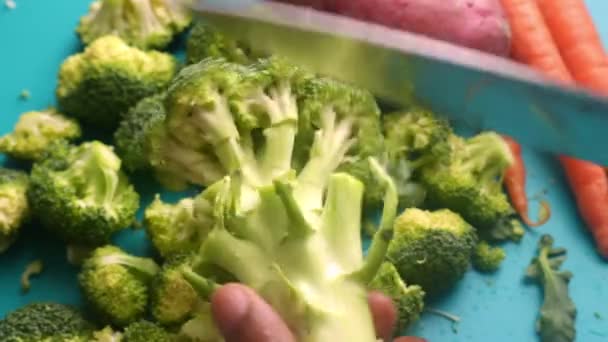 Närbild Person Som Förbereder Broccoli För Hälsosam Måltid — Stockvideo