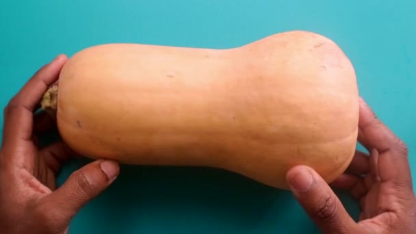 Platt Låg Person Som Förbereder Pumpa Butternut Squash — Stockvideo