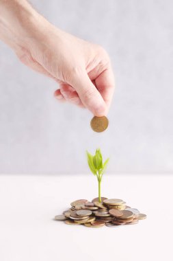 El, beyaz arka plandaki bozuk para yığınına para koydu. Paranı gelir elde etmek ve iş büyütmek için harca. Tohumlar beyaz arka plandaki bozuk paralardan büyüyor. yaratıcı tasarım