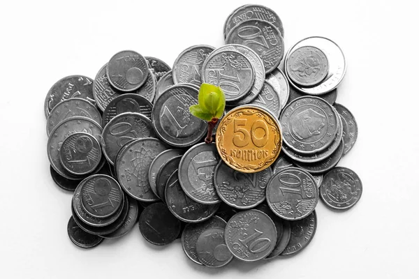Beyaz arka planda bir yığın Euro ve Hryvnia senti. Ukrayna 'nın ulusal para biriminin güçlendirilmesi. Hryvnia daha da güçlendi. Ukrayna 'da para sıkıntısı. Avrupa Birliği 'ne katılmak. Güçlü para birimi
