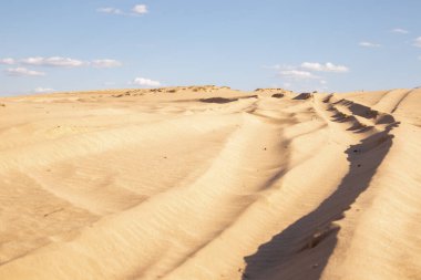 Çölde kum dalgaları. Kum dokusu. Harkov, Ukrayna. Ukrayna doğası. Çöl manzarası.
