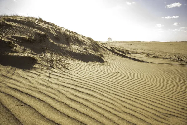 Sand waves in the desert. Sand texture. Kharkov, Ukraine. Ukrainian nature. Desert landscape.