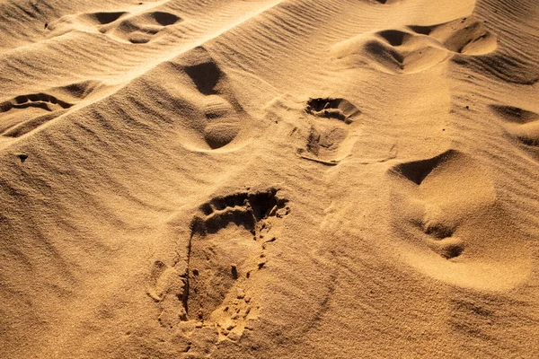砂の中の足跡。砂が多い。砂漠の風景. — ストック写真