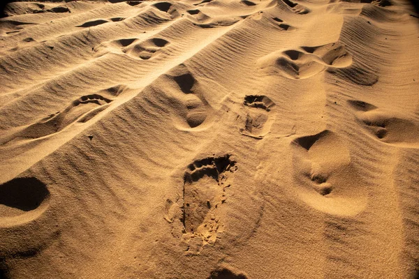 Footprints in the sand. A lot of sand. Desert landscape.