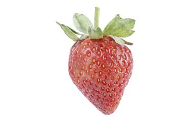 Olgun Doğal Çilek Beyaz arka planda izole