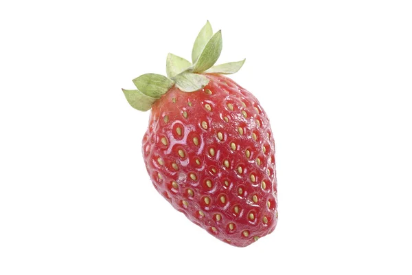 Reife Natürliche Erdbeere Isoliert Auf Weißem Hintergrund — Stockfoto
