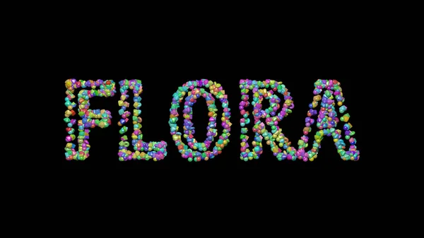 Gravação Colorida Texto Flora Com Pequenos Objetos Sobre Fundo Escuro — Fotografia de Stock