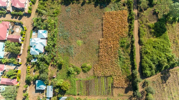 aerial view of the rural area away from Arusha, Farming and people settlement.