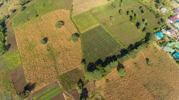 Αεροφωτογραφία Της Αγροτικής Περιοχής Μακριά Από Την Αρούσα Γεωργία Και — Φωτογραφία Αρχείου