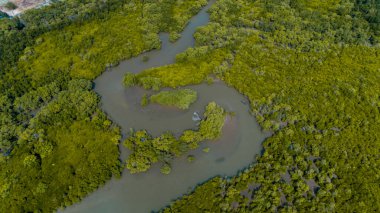 mangrov bataklıkhavadan görünümü , Dar es Salaam şehir