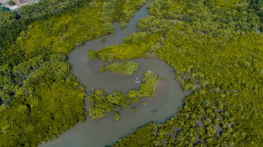 mangrov bataklıkhavadan görünümü , Dar es Salaam şehir