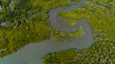 mangrov bataklıkhavadan görünümü , Dar es Salaam şehir