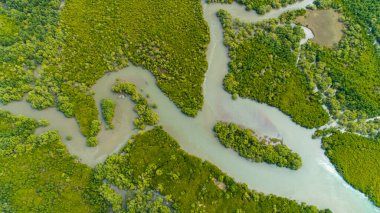 mangrov bataklıkhavadan görünümü , Dar es Salaam şehir