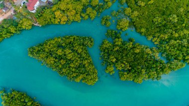 mangrov bataklıkhavadan görünümü , Dar es Salaam şehir