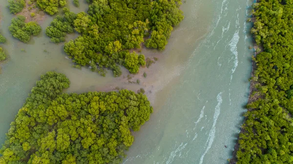 Légifotó Mangrove Mocsarakban Dar Salaam Városa — Stock Fotó