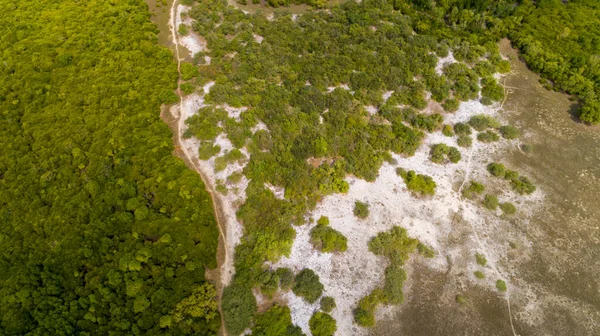 Vue Aérienne Des Marais Mangrove Ville Dar Salaam — Photo