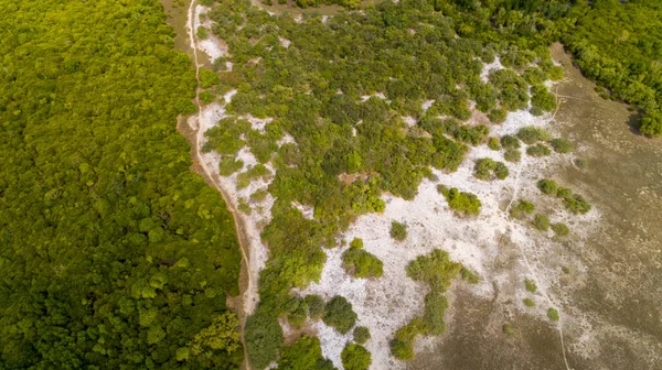 Légifotó Mangrove Mocsarakban Dar Salaam Városa — Stock Fotó