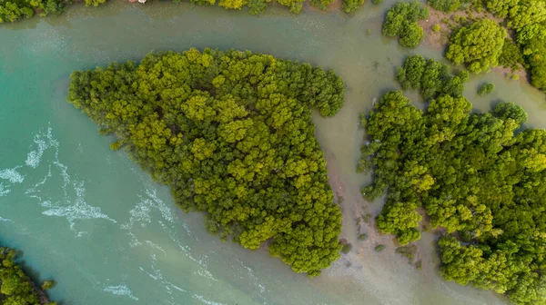 Légifotó Mangrove Mocsarakban Dar Salaam Városa — Stock Fotó