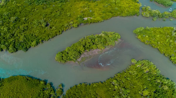 Légifotó Mangrove Mocsarakban Dar Salaam Városa — Stock Fotó