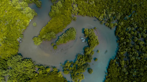 Vista Aérea Dos Pântanos Mangue Cidade Dar Salaam — Fotografia de Stock