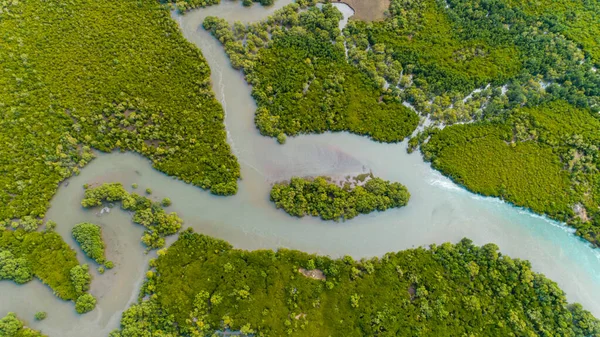 Légifotó Mangrove Mocsarakban Dar Salaam Városa — Stock Fotó