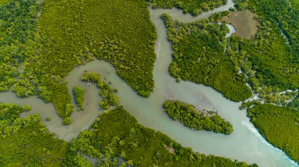 Légifotó Mangrove Mocsarakban Dar Salaam Városa — Stock Fotó