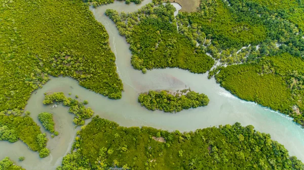 Légifotó Mangrove Mocsarakban Dar Salaam Városa — Stock Fotó