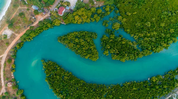 aerial view of the mangrove swamps , city of Dar es Salaam