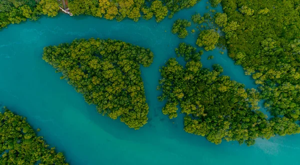 aerial view of the mangrove swamps , city of Dar es Salaam