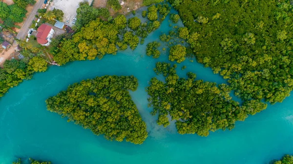 Légifotó Mangrove Mocsarakban Dar Salaam Városa — Stock Fotó