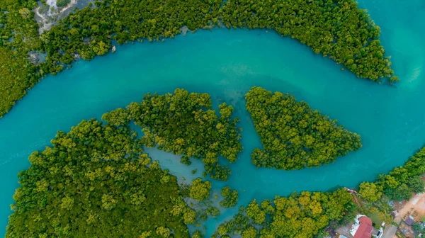 Luchtfoto Van Mangrove Moerassen Stad Van Dar Salaam — Stockfoto