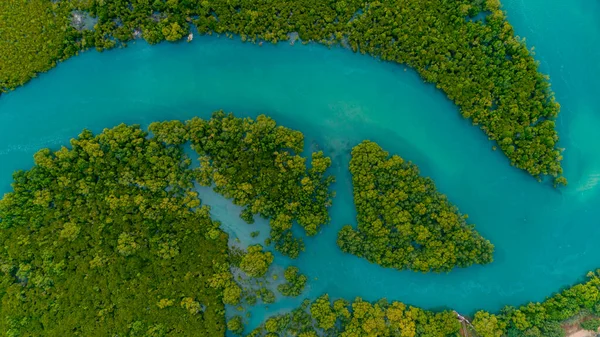 Légifotó Mangrove Mocsarakban Dar Salaam Városa — Stock Fotó