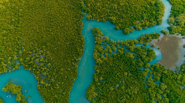 Légifotó Mangrove Mocsarakban Dar Salaam Városa — Stock Fotó