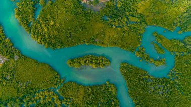 mangrov bataklıkhavadan görünümü , Dar es Salaam şehir