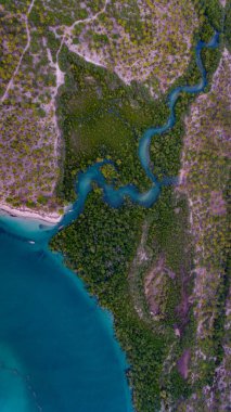 Kanga sahilindeki mangrov bataklığı, mafya adası.