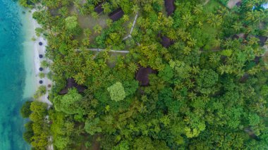 Kutup bölgesi, Mafya adası.