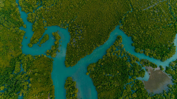 Aerial view of the mangrove swamps , city of Dar es Salaam